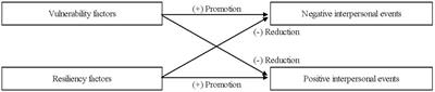 Interpersonal stress generation among young adolescents: vulnerable and resilient interpersonal behaviors and the generation of negative and positive interpersonal events